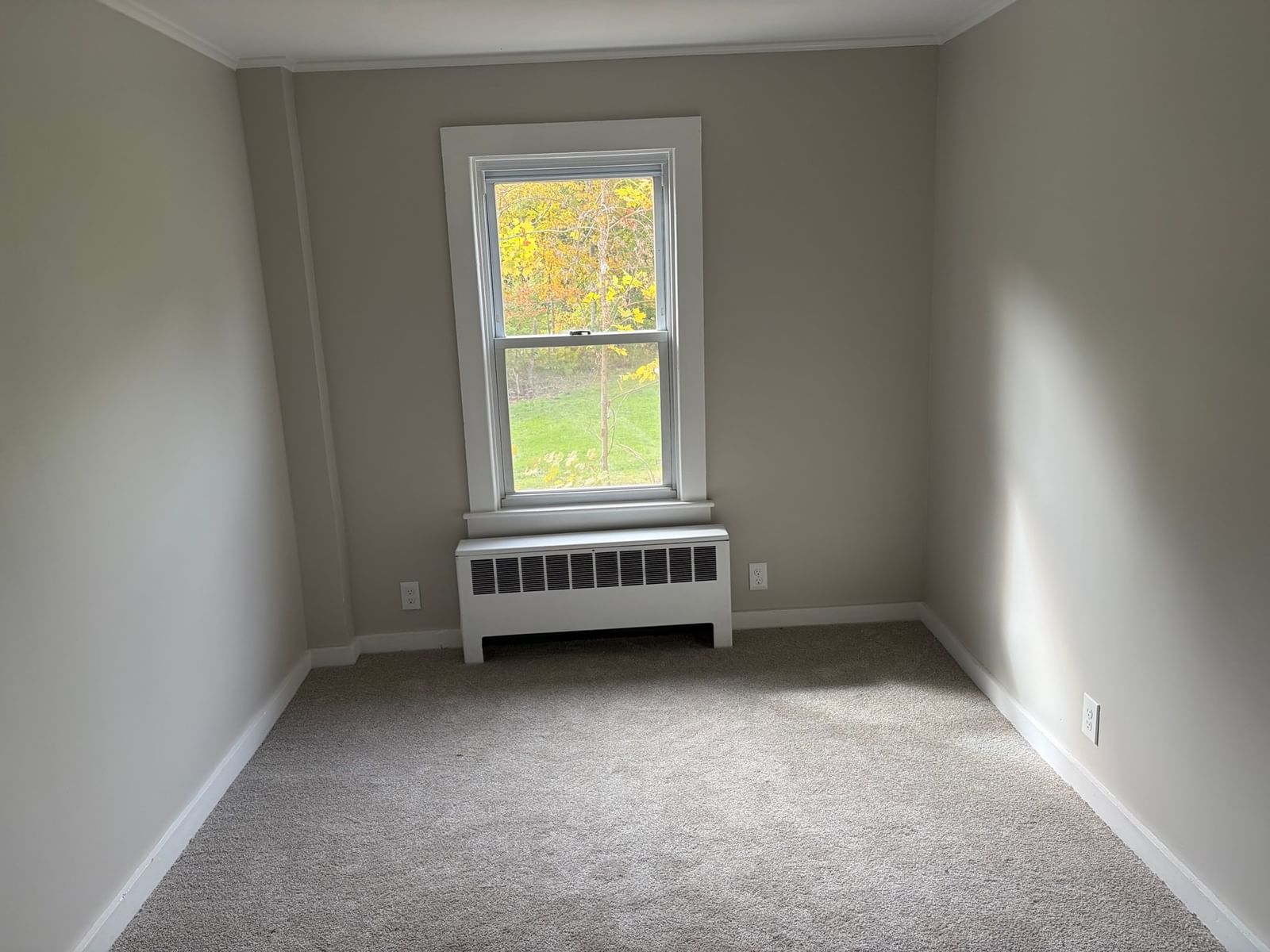 221 Aldrich Street Belchertown — Photo 12 of 30
