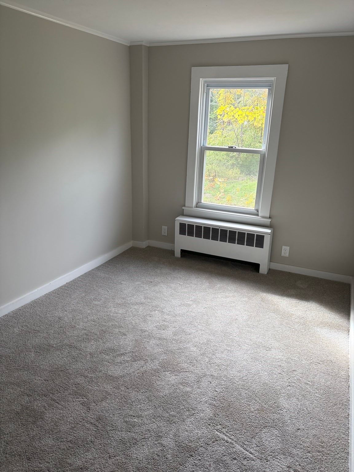 221 Aldrich Street Belchertown — Photo 9 of 30