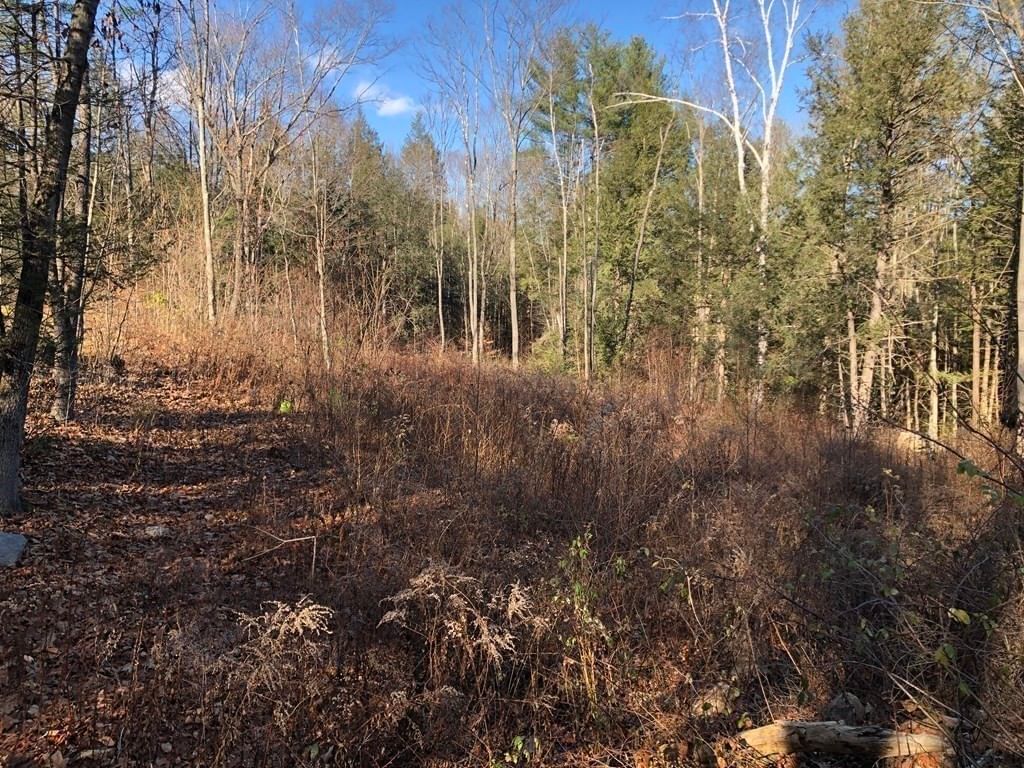 0 Potato Hill Road Westminster — Photo 2 of 5