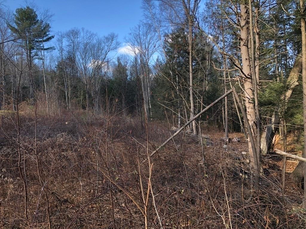 0 Potato Hill Road Westminster — Photo 5 of 5