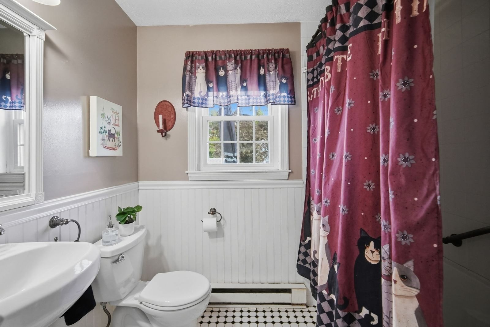 24 Sedgelia Street Springfield — Photo 14 of 29