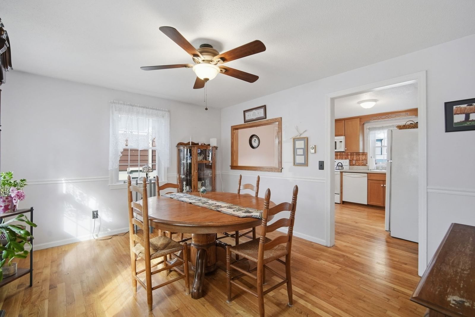 24 Sedgelia Street Springfield — Photo 7 of 29