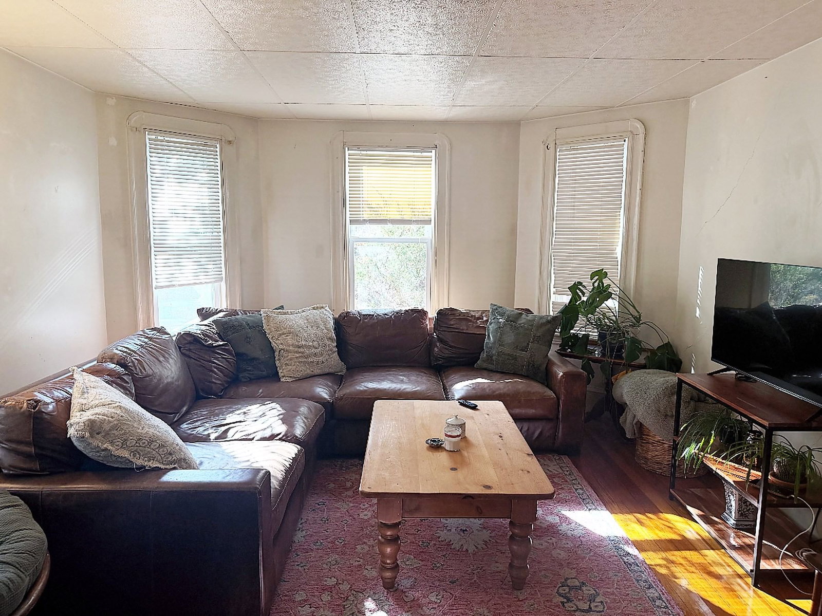 34 Holyoke Road, Somerville, MA 02144 photo 3
