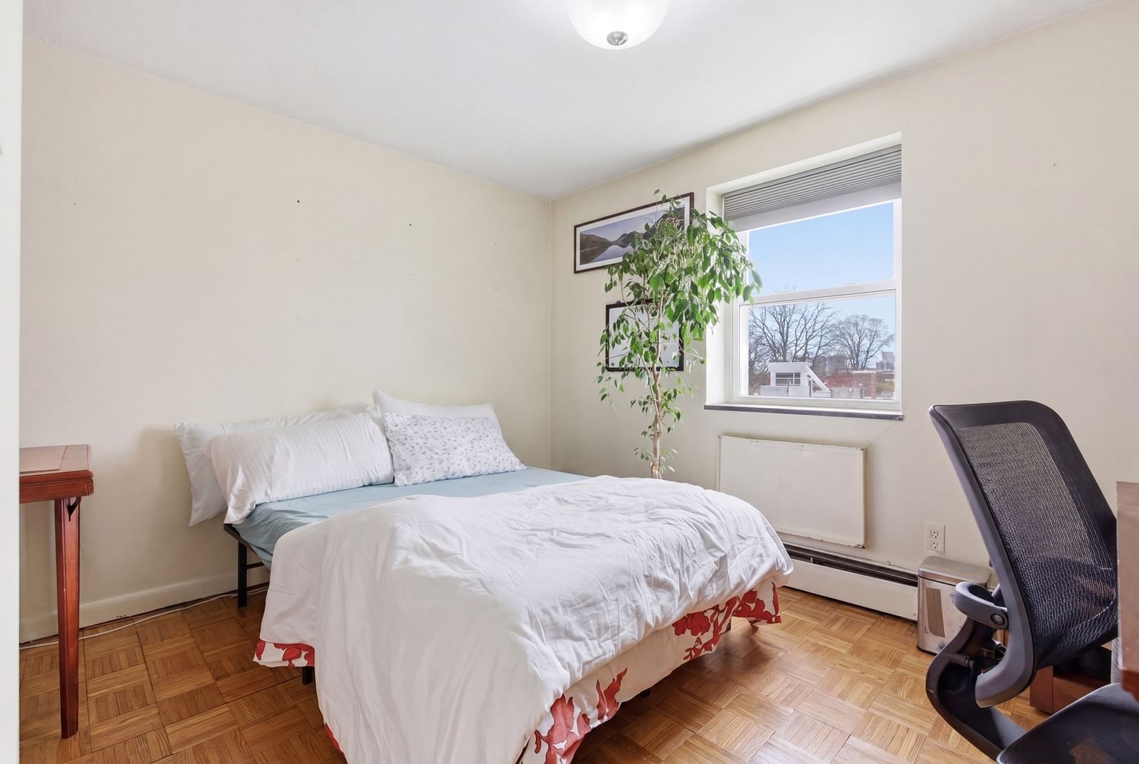 269 Harvard St #34, Cambridge, MA 02139 photo 4