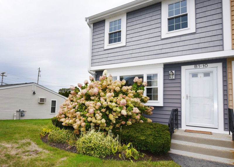 10 Lydon Ln Unit B-1