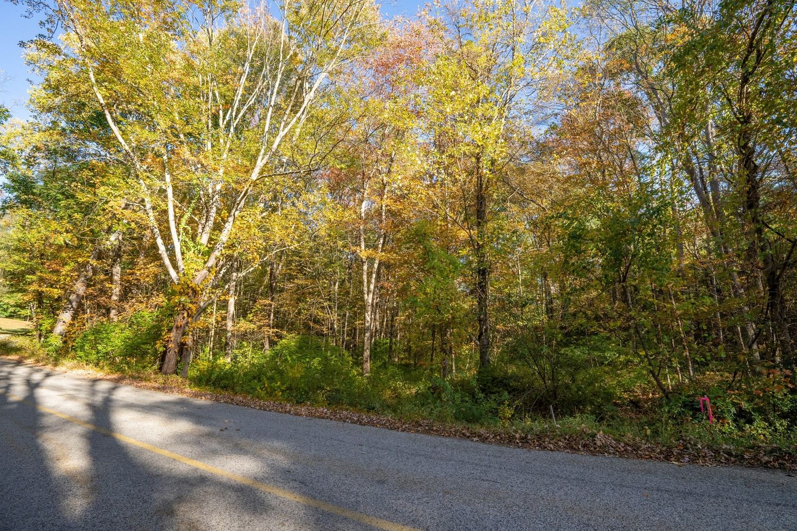 0 Denfield Rd, Charlton, MA 01507 photo 5