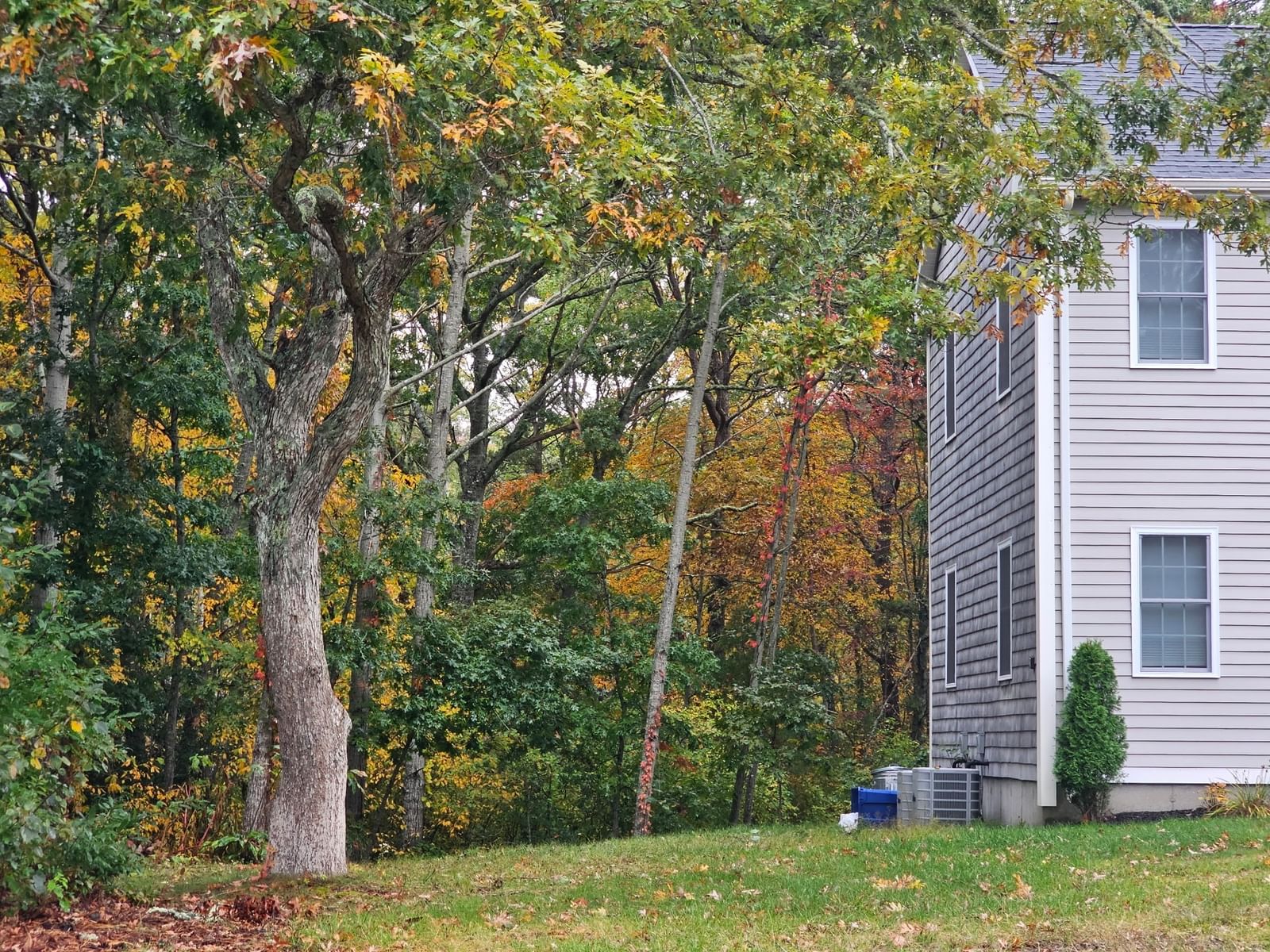 63 Abells, Yarmouth, MA 02673 photo 4