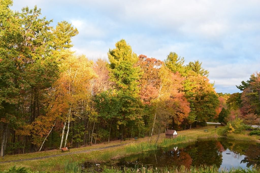 C4 Scotty Hollow Dr #C4, Chelmsford, MA, C4 Scotty Hollow Dr #C4, Chelmsford, MA Photo #27