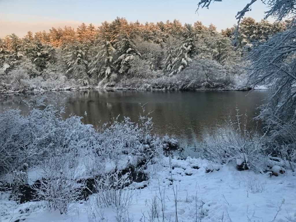 10 Pond Edge Trl, Wareham, MA Photo #35