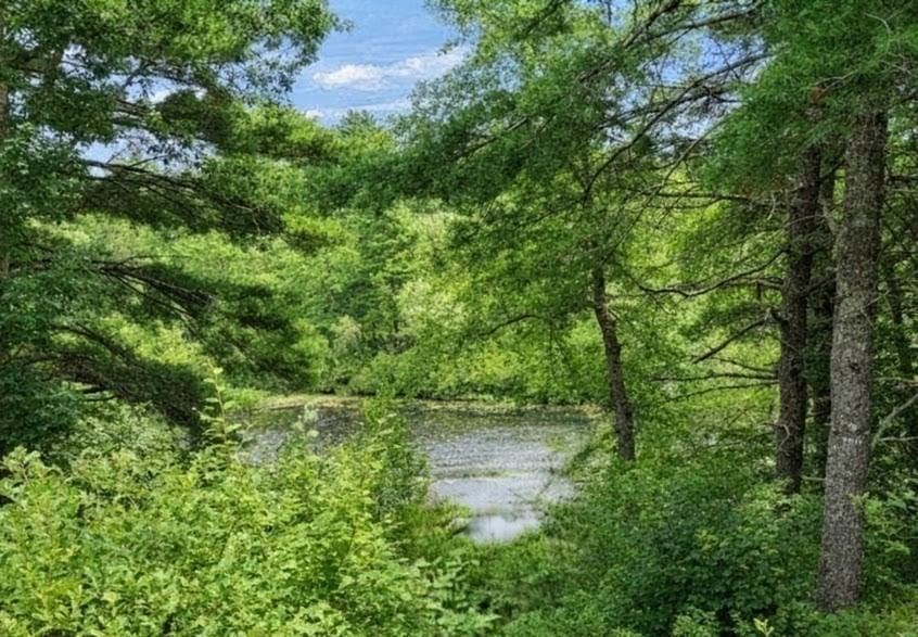 10 Pond Edge Trl, Wareham, MA Photo #36