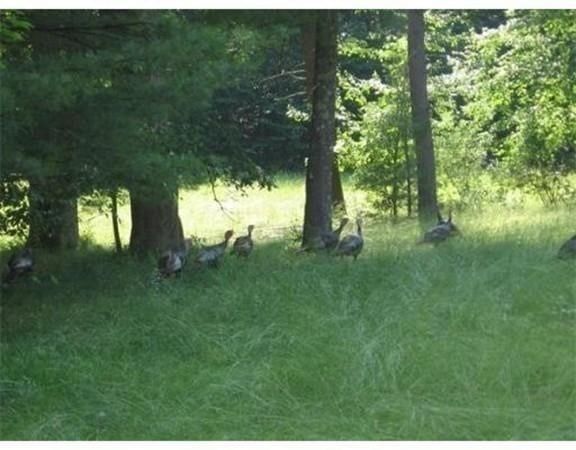 144 Parmenter Road, Hudson, MA, 144 Parmenter Road, Hudson, MA Photo #6