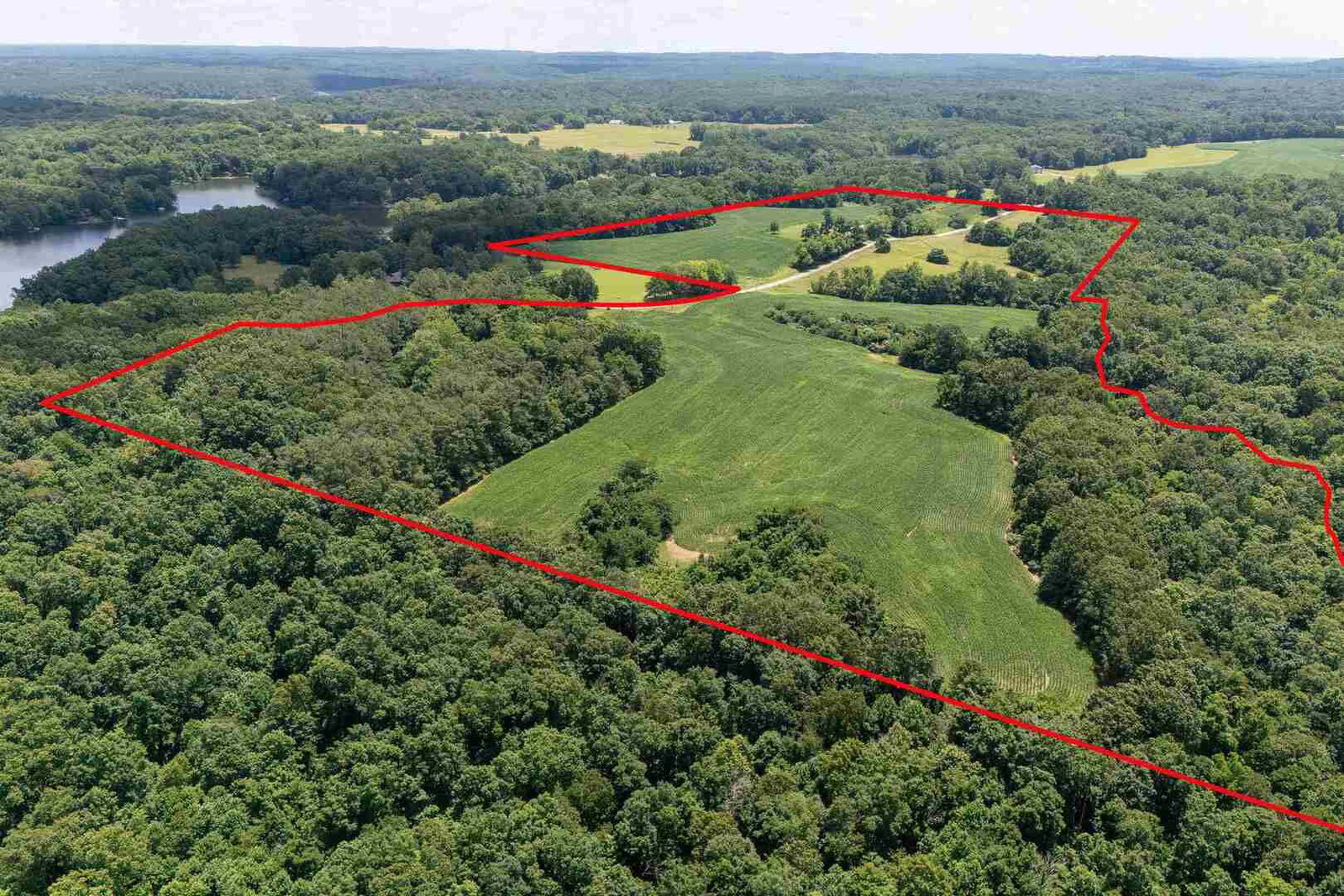 1080 Zion Road, Carbondale, IL 62902 — living view