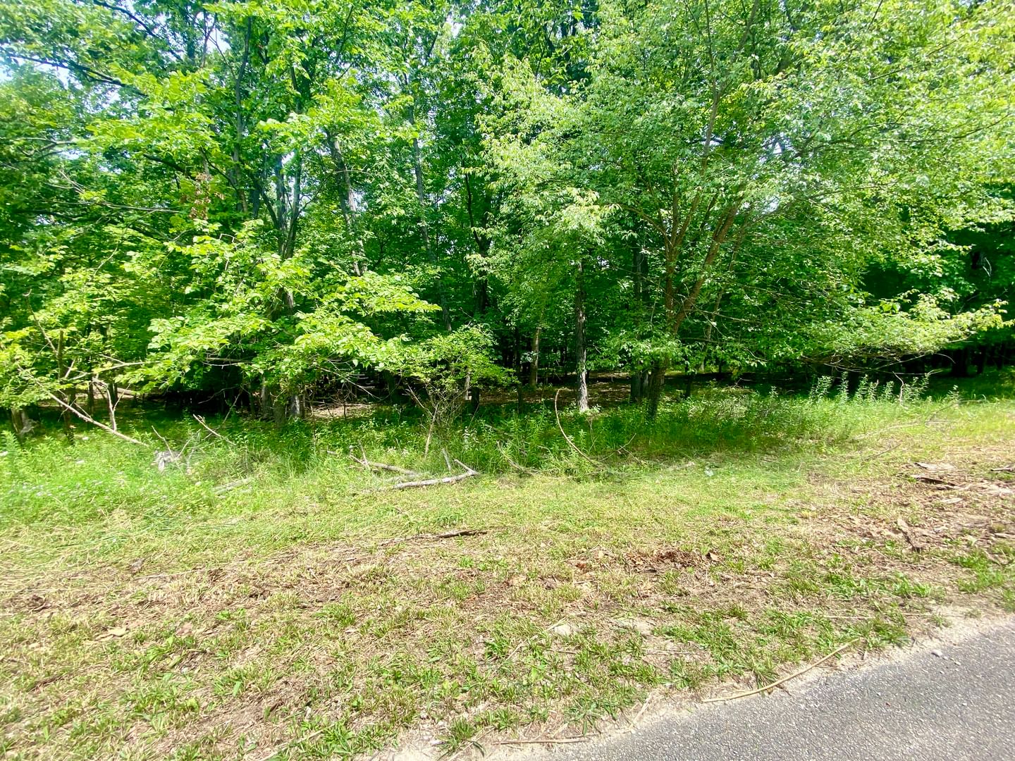 Lot 55 Eagle Chase Drive, Seneca, IL 61360 — exterior view