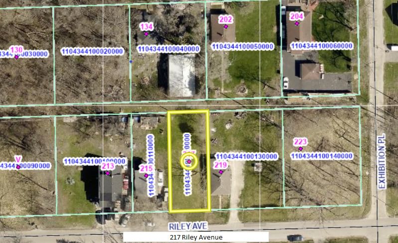 217 Riley Avenue, Lockport, IL 60441 — all view