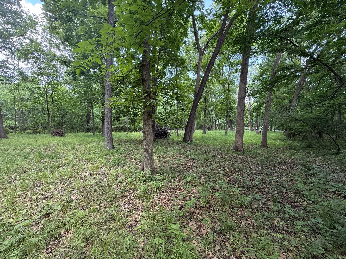 Lot 235 Lake Thunderbird Drive, Tiskilwa, IL 61368 — exterior view