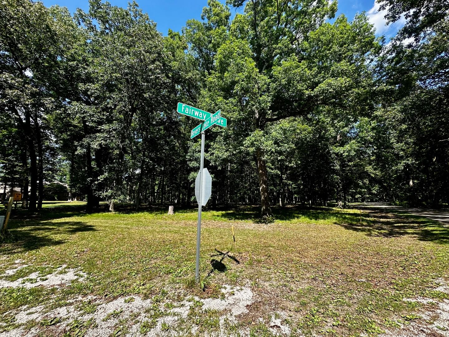 220 Beyers Lake Est , Pana, IL 62557 — all view