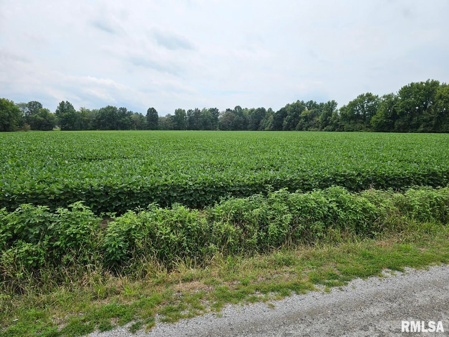 0000 BETHEL Road, Mt Vernon, IL 62864 — bedrooms view
