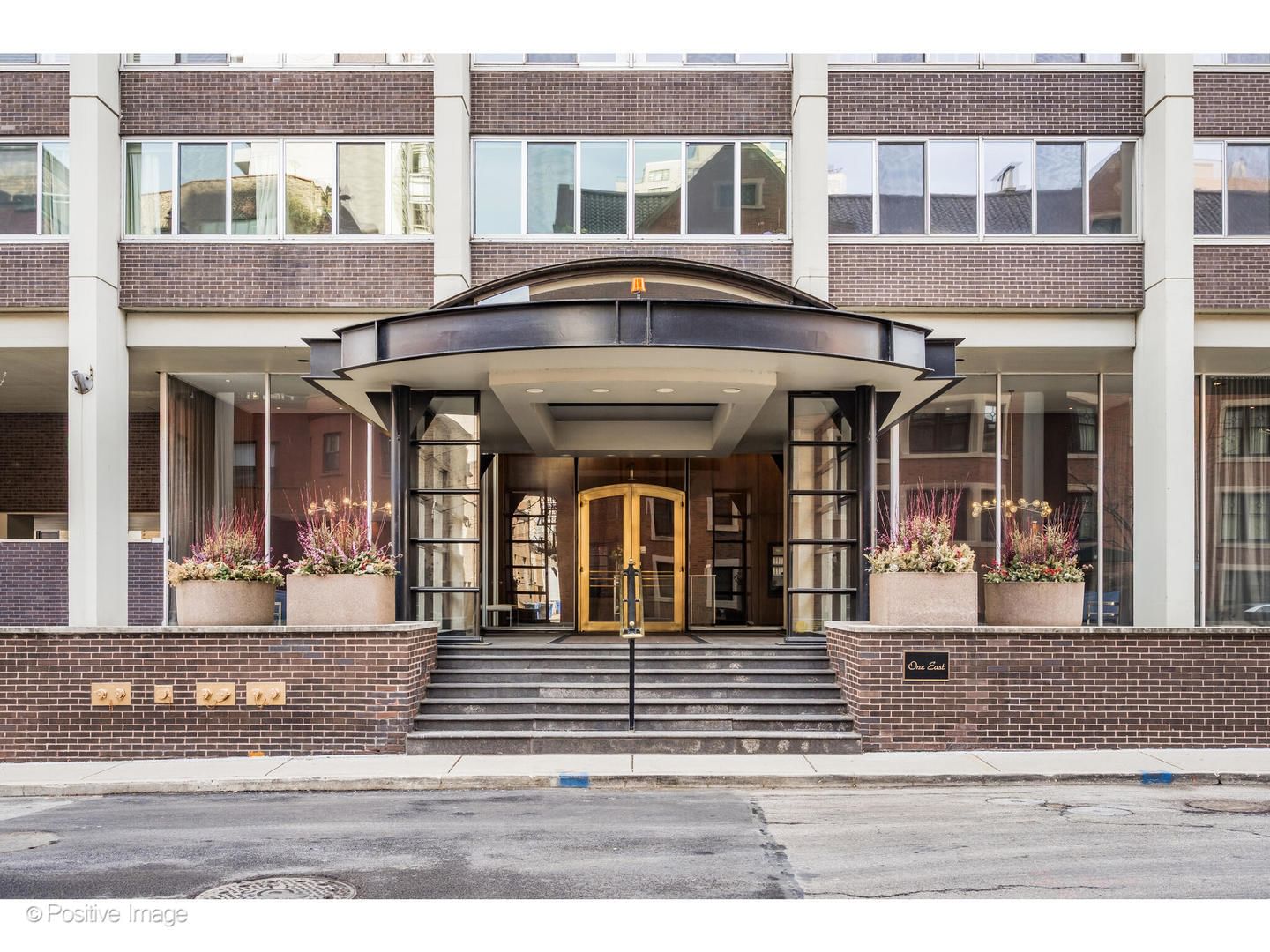 1 E Schiller Street #3C, Chicago, IL 60610 — exterior view