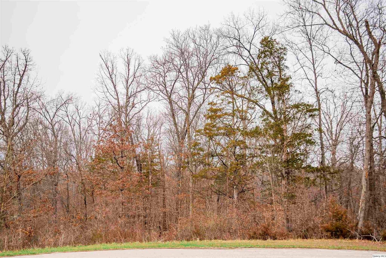 4605 Barbara Jane Court, Quincy, IL 62305 — all view