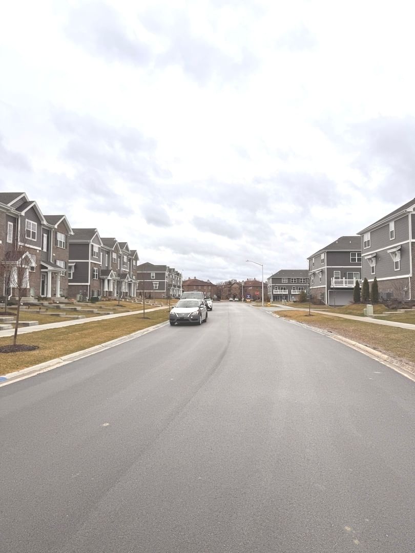 17314 Roscommon Road, Tinley Park, IL 60477 — living view