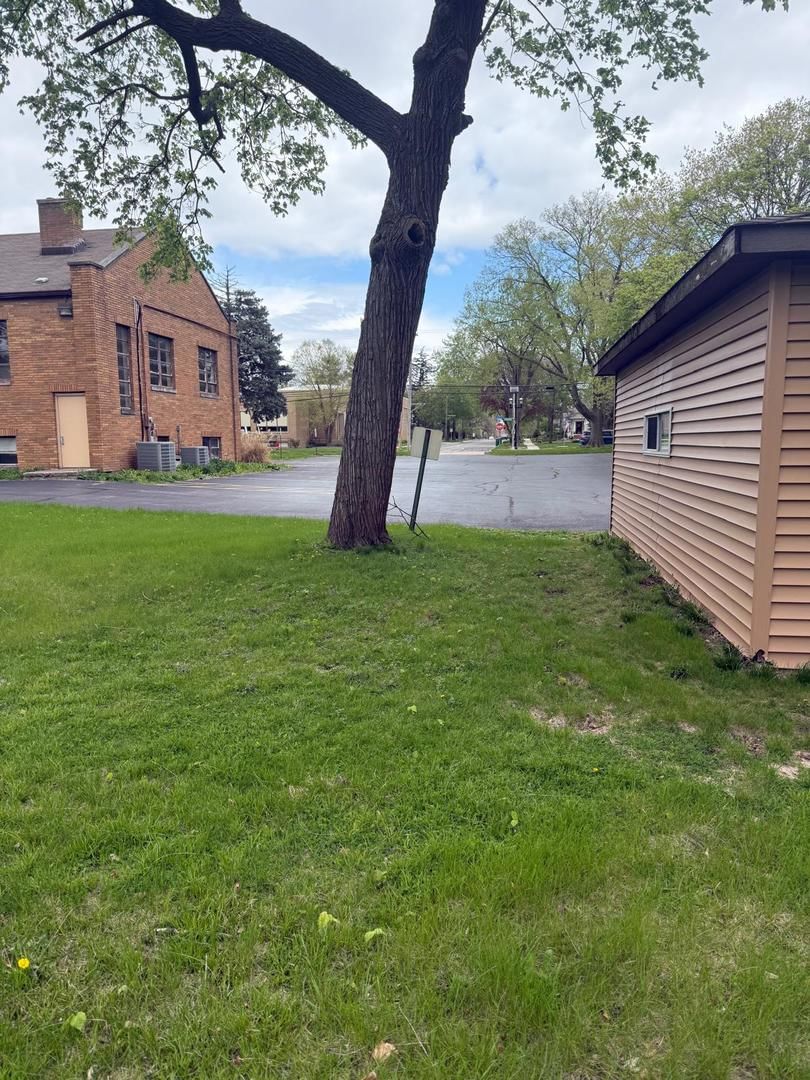 23913 W Lockport Street, Plainfield, IL 60544 — kitchen view