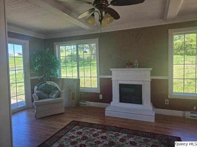 4 Riverview Drive, Nauvoo, IL 62354 — exterior view