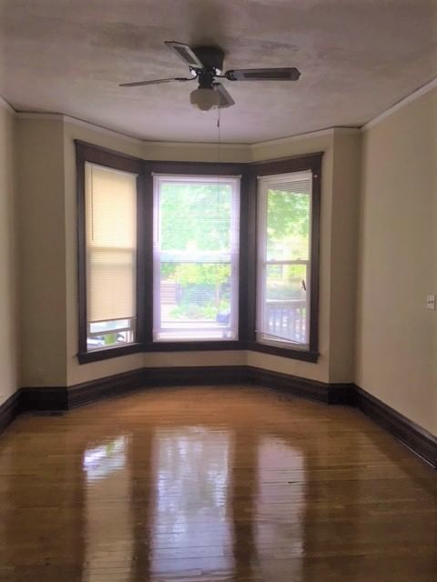 1116 W Wellington Avenue #1, Chicago, IL 60657 — exterior view