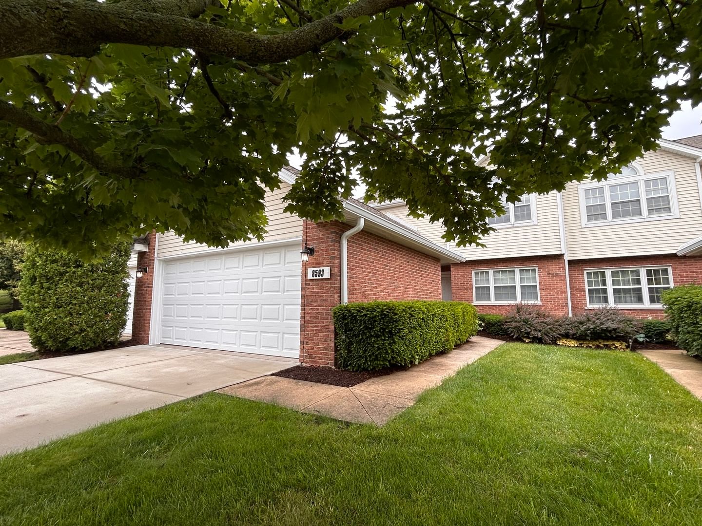 8593 Sandalwood Drive, Darien, IL 60561 — all view