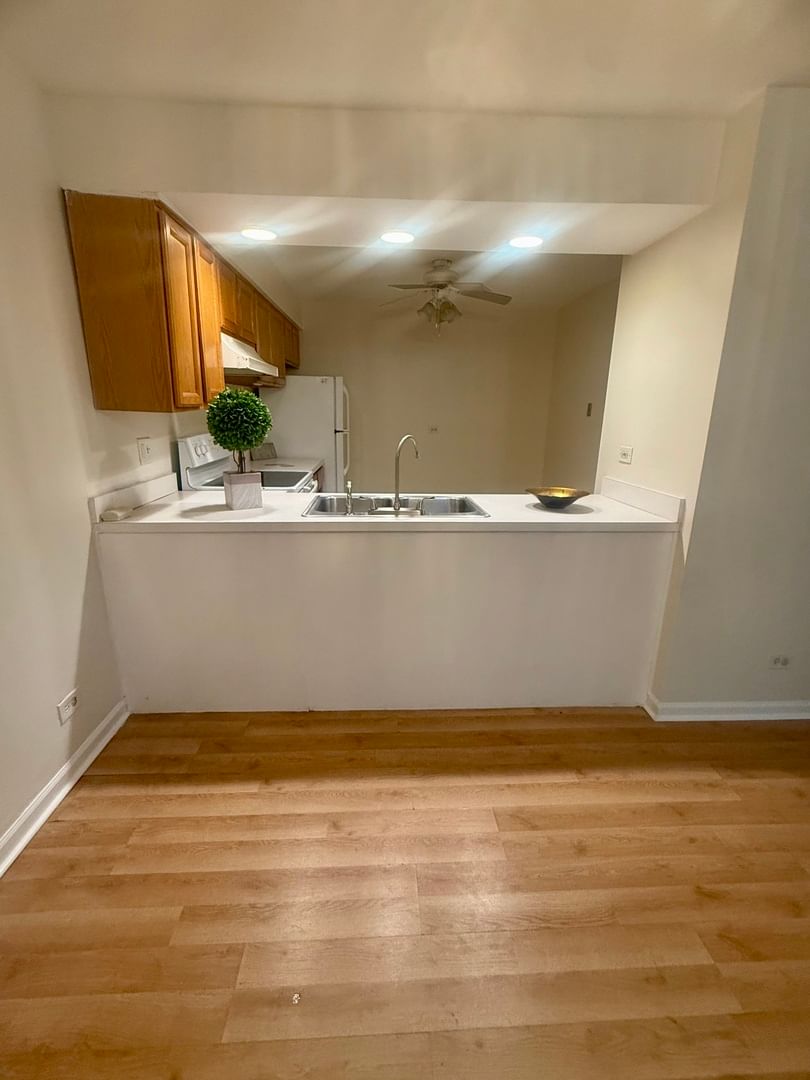 4424 Euclid Avenue #1D, Rolling Meadows, IL 60008 — living view