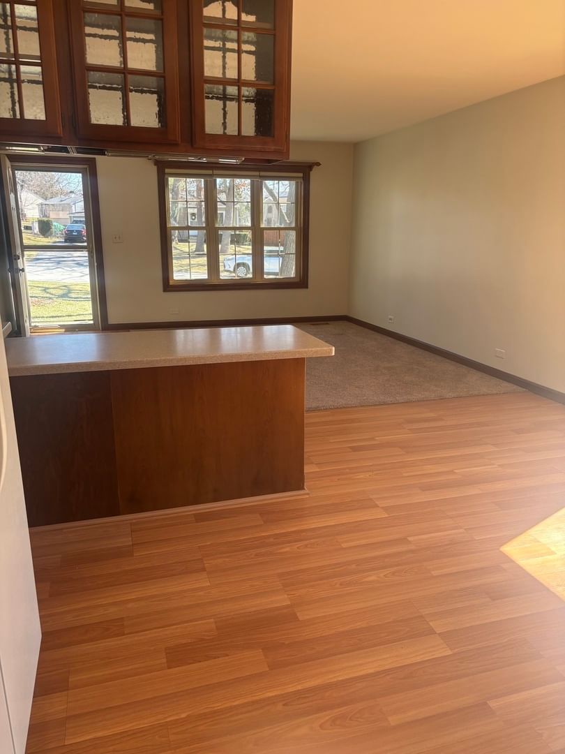 7718 Butternut Court, Woodridge, IL 60517 — kitchen view