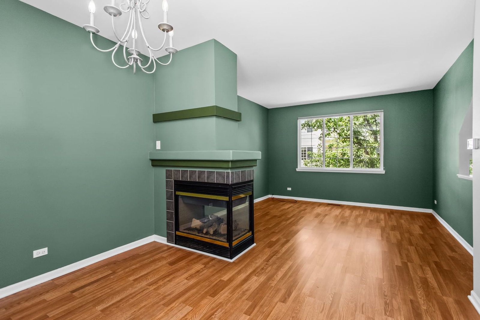 698 S Rosehall Lane, Round Lake, IL 60073 — exterior view