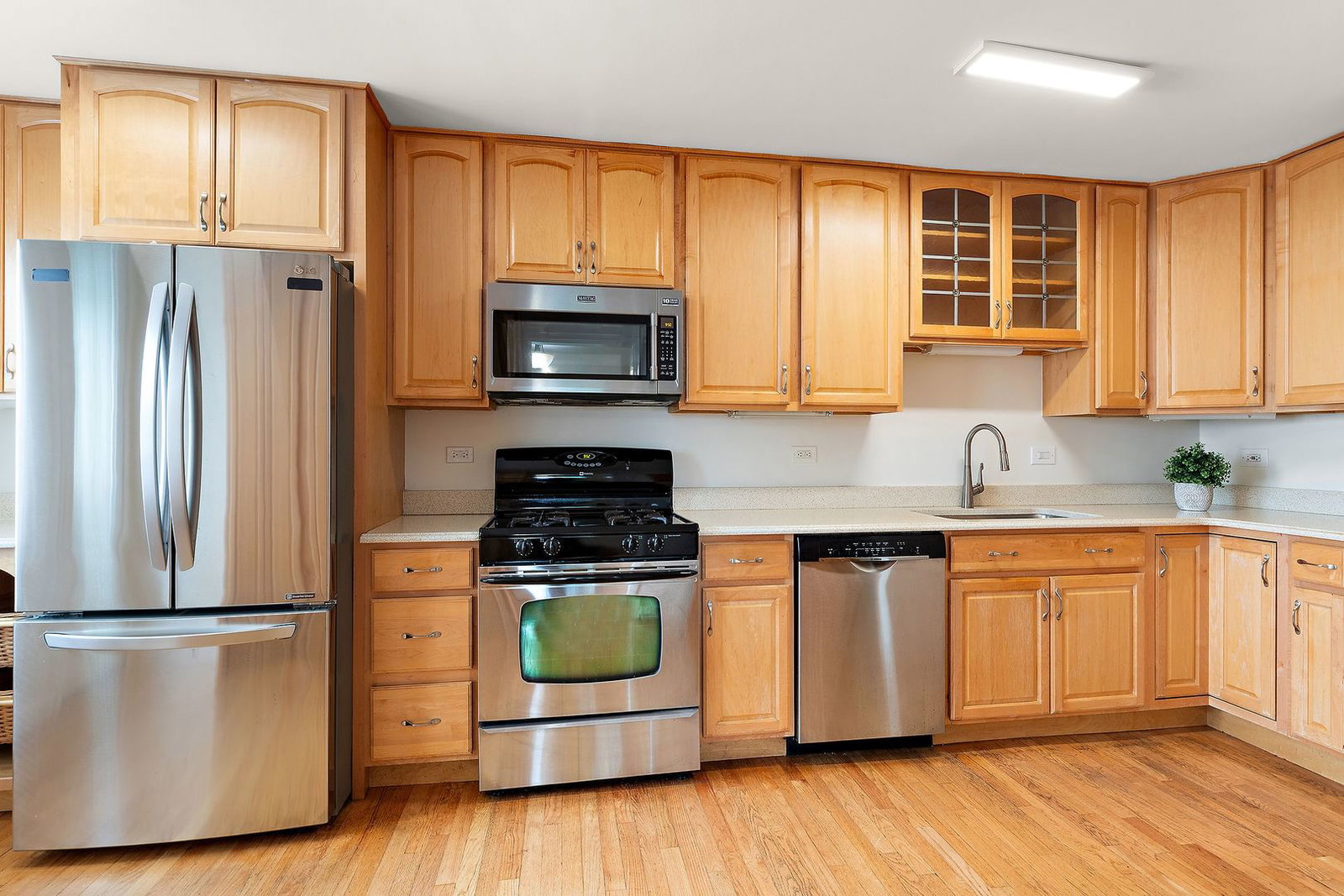 915 Hamlin Street, Evanston, IL 60201 — living view