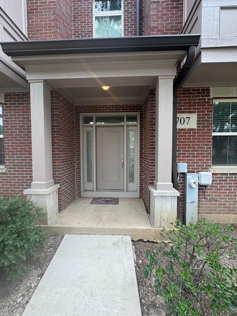 707 N Telluride Court, Vernon Hills, IL 60061 — exterior view