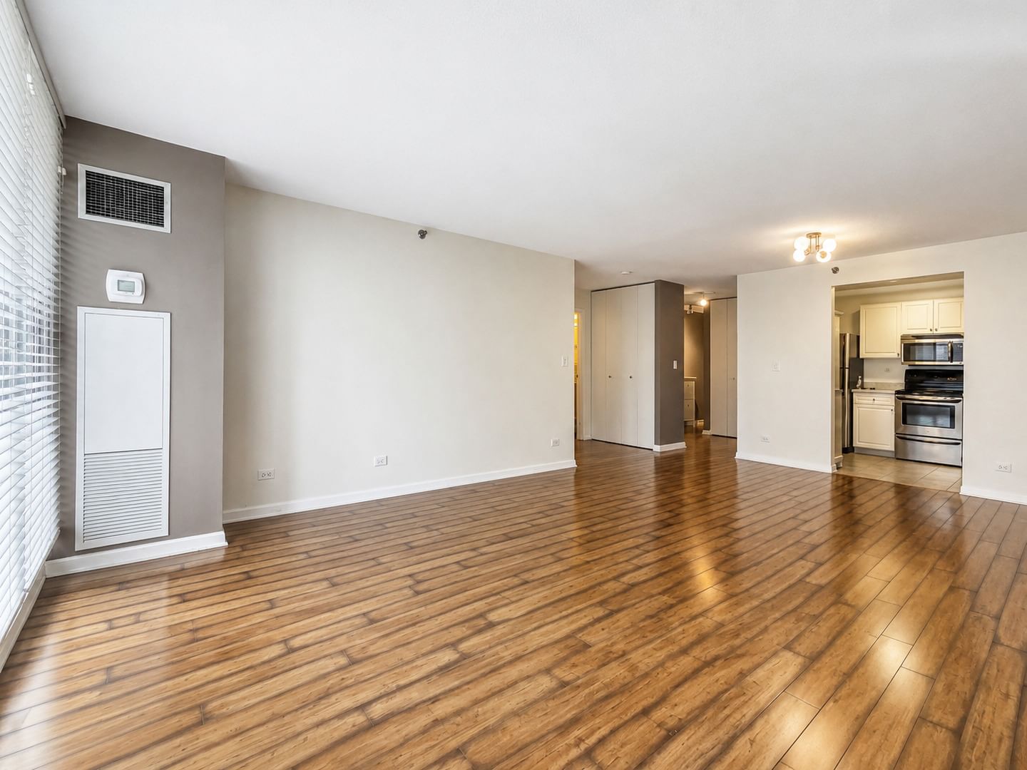 70 W Huron Street #406, Chicago, IL 60654 — living view