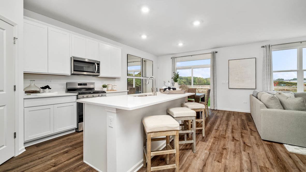 6254 Leinster Lane, Tinley Park, IL 60477 — kitchen view