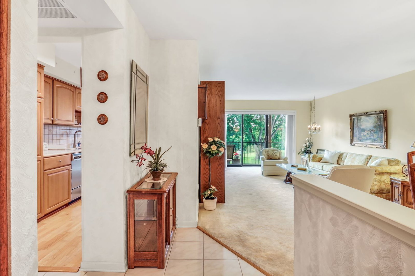250 W Parliament Place #219, Mount Prospect, IL 60056 — kitchen view