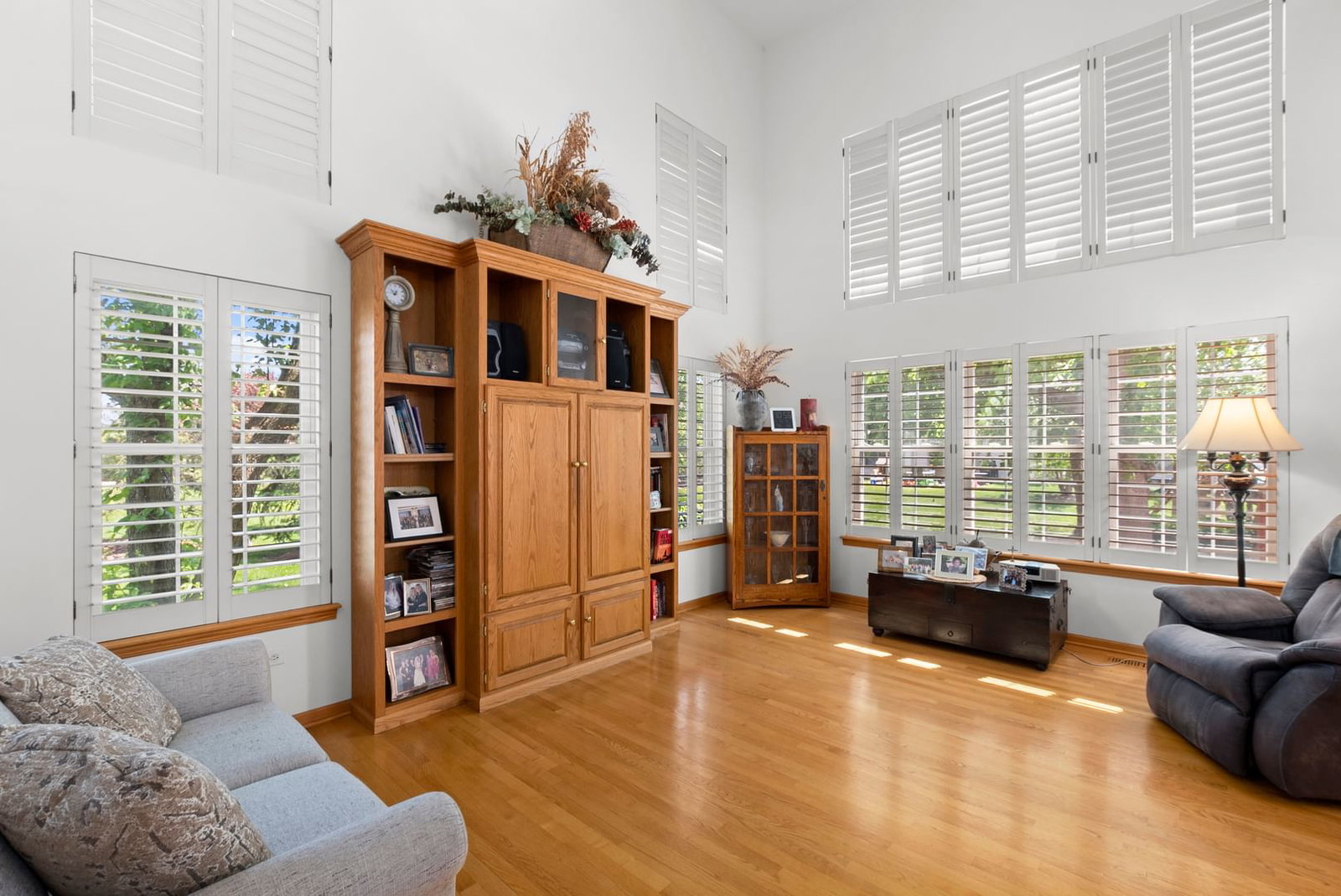 2724 Schooner Drive, New Lenox, IL 60451 — living view