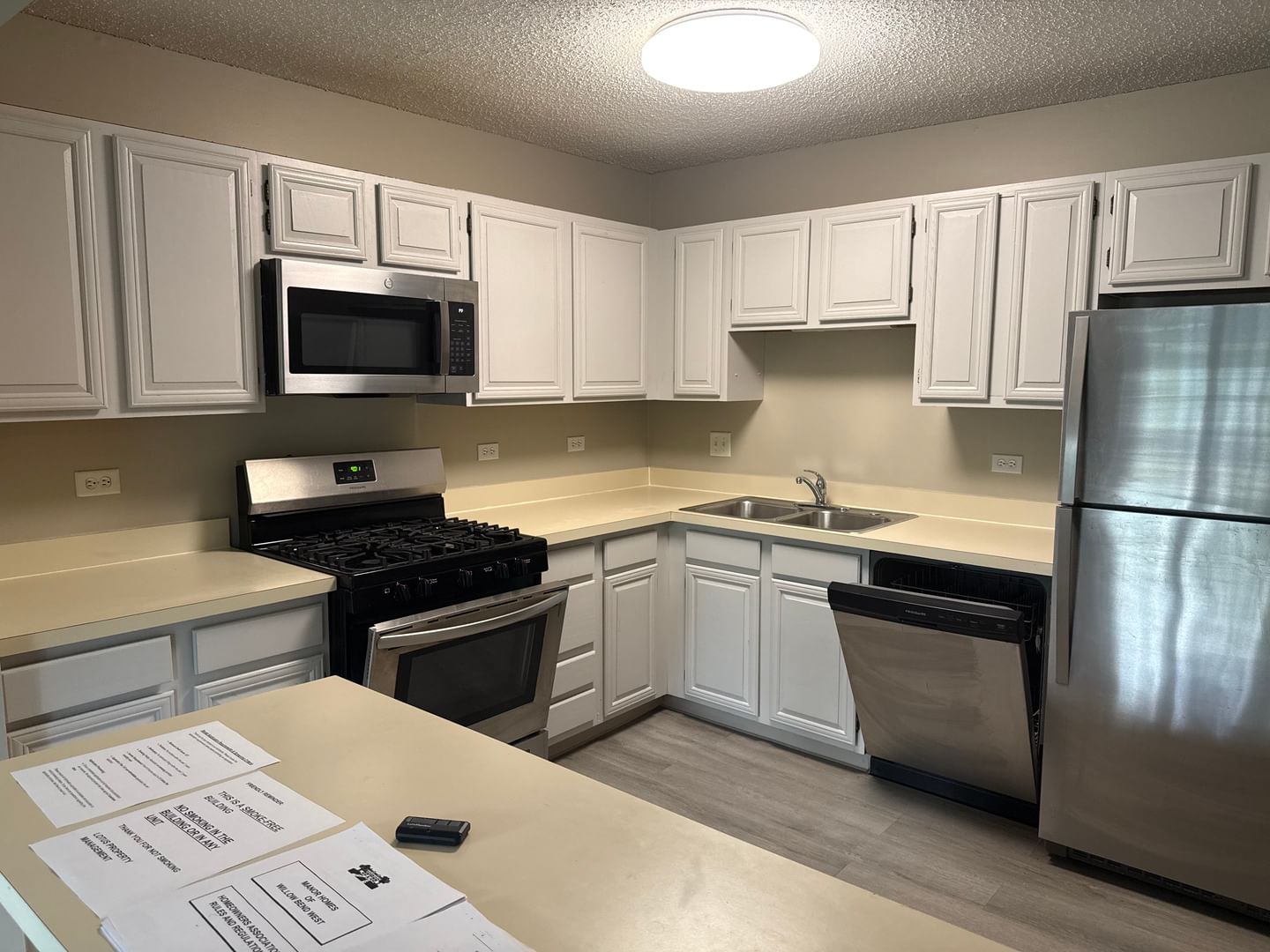 5S470 SCOTS Drive #D, Naperville, IL 60563 — living view