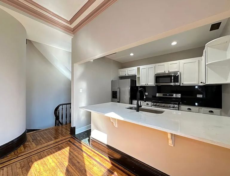 238 S Ashland Avenue, Chicago, IL 60607 — exterior view