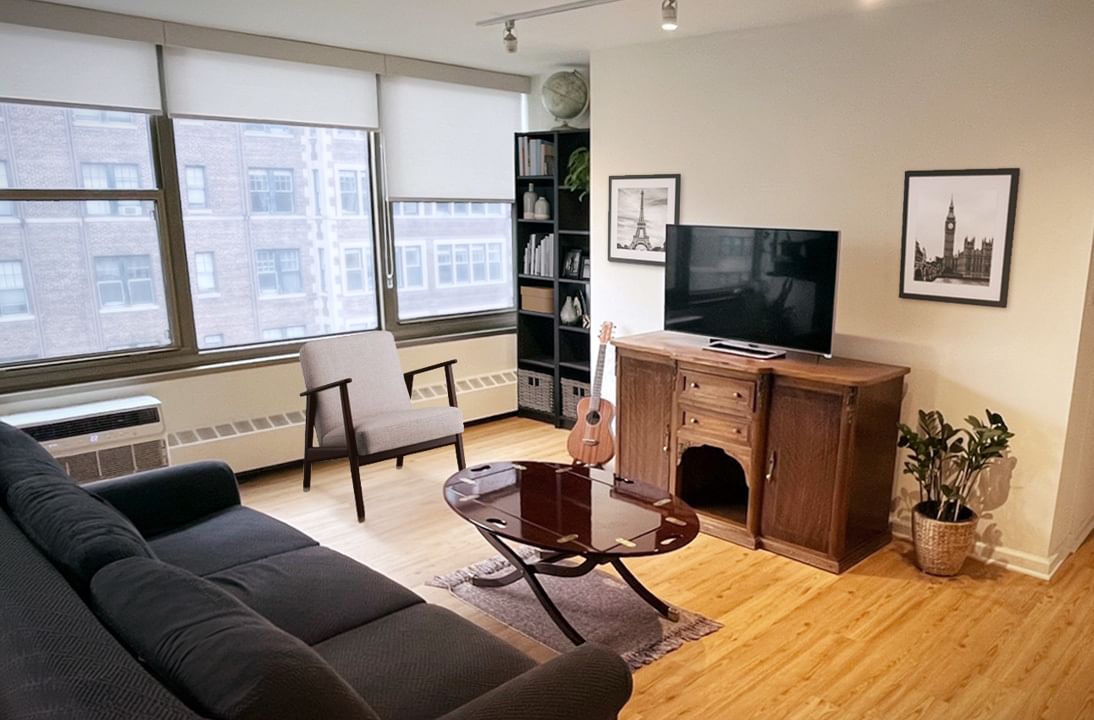 360 W WELLINGTON Avenue #13D, Chicago, IL 60657 — living view