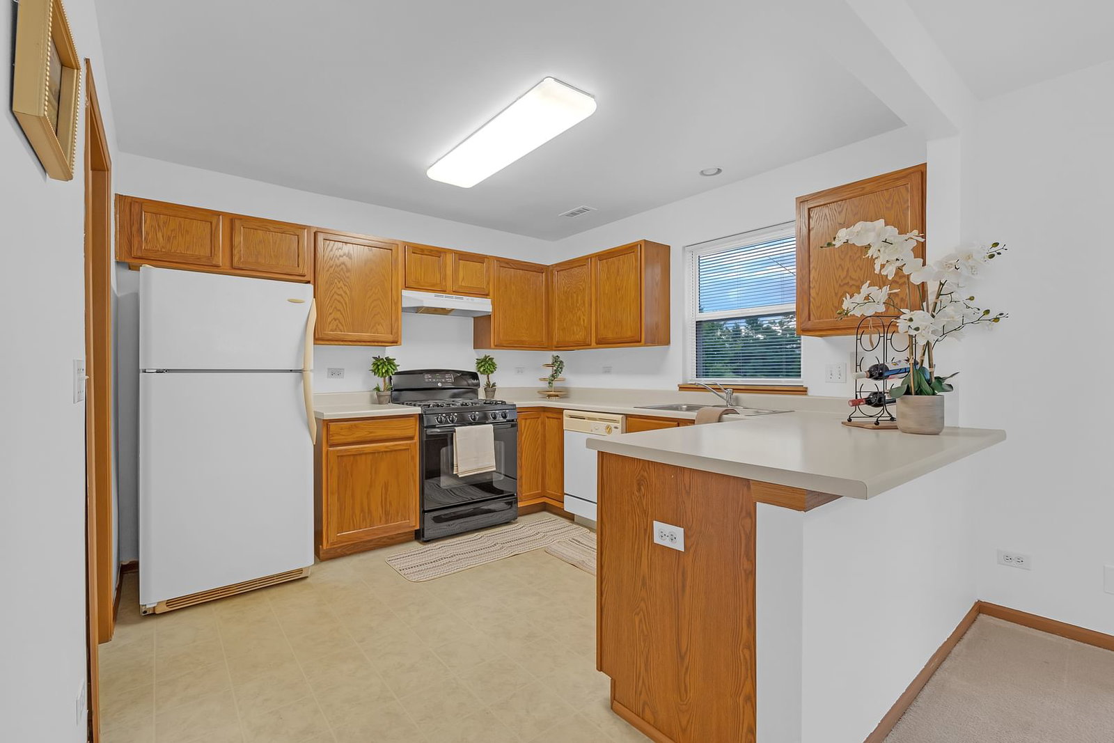 1661 W CHRYSLER Drive #9-1, Belvidere, IL 61008 — kitchen view