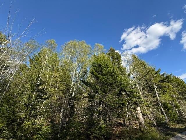Lot 13 Pidgeon Point Road, Whiting, ME 04691 photo 2