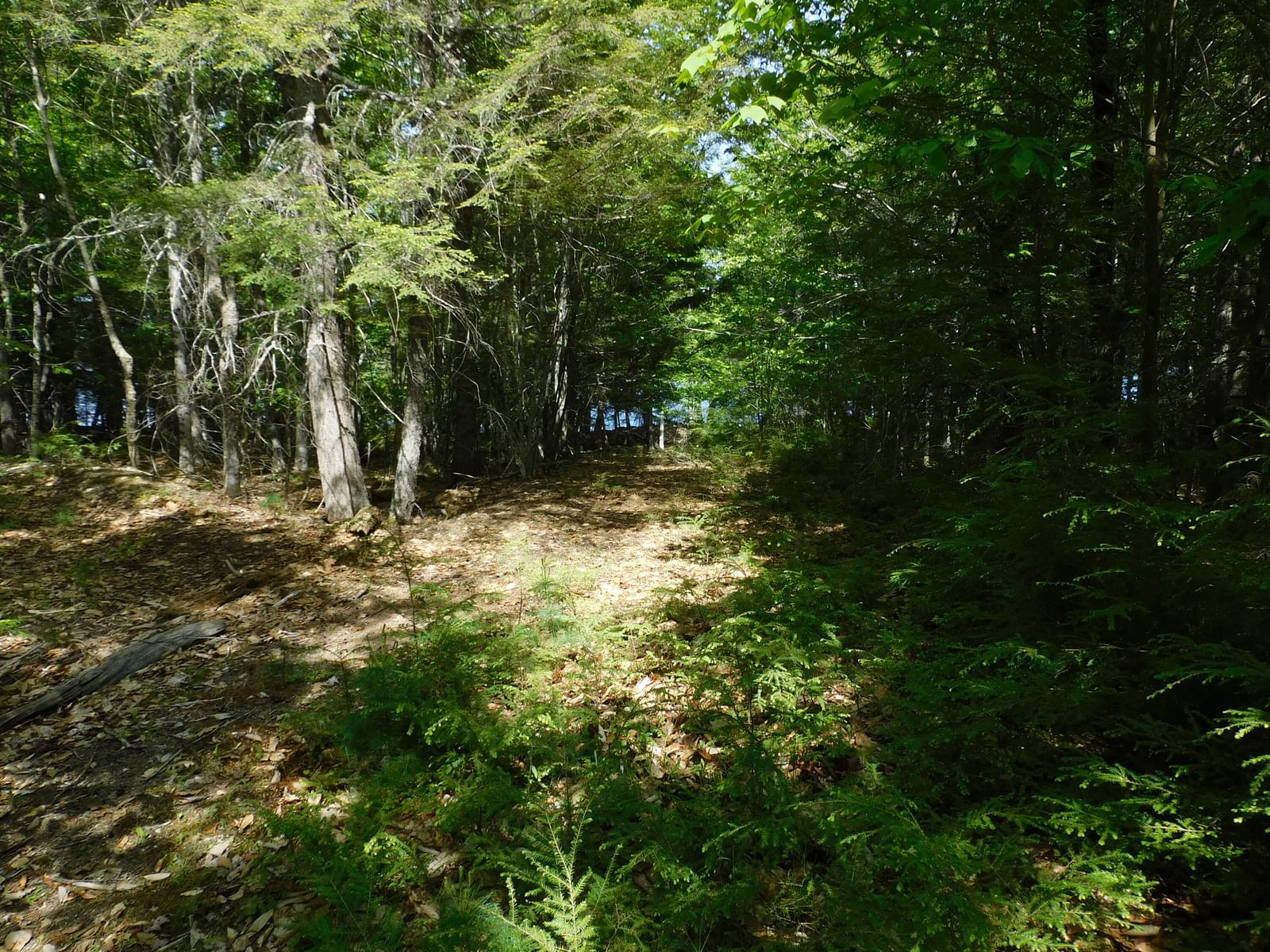 Lot 2 Big Lake Shores Road, Greenlaw Chopping Twp, ME 04668 photo 2