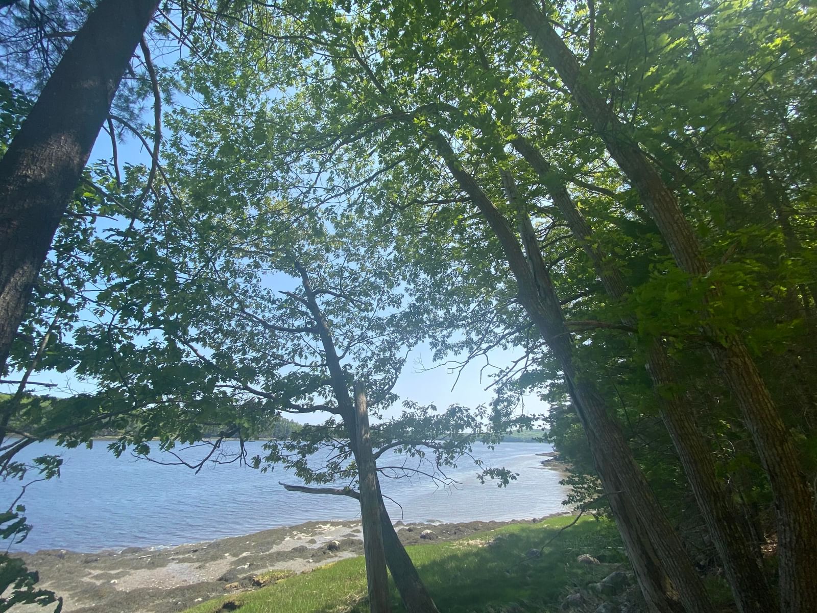 977 Alna Road, Alna, ME 04535 photo 3