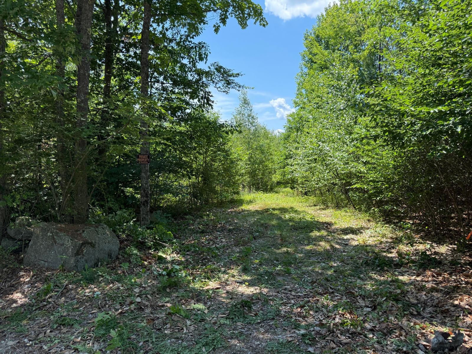 #00 Maplewood Road, Newfield, ME 04095 photo 2