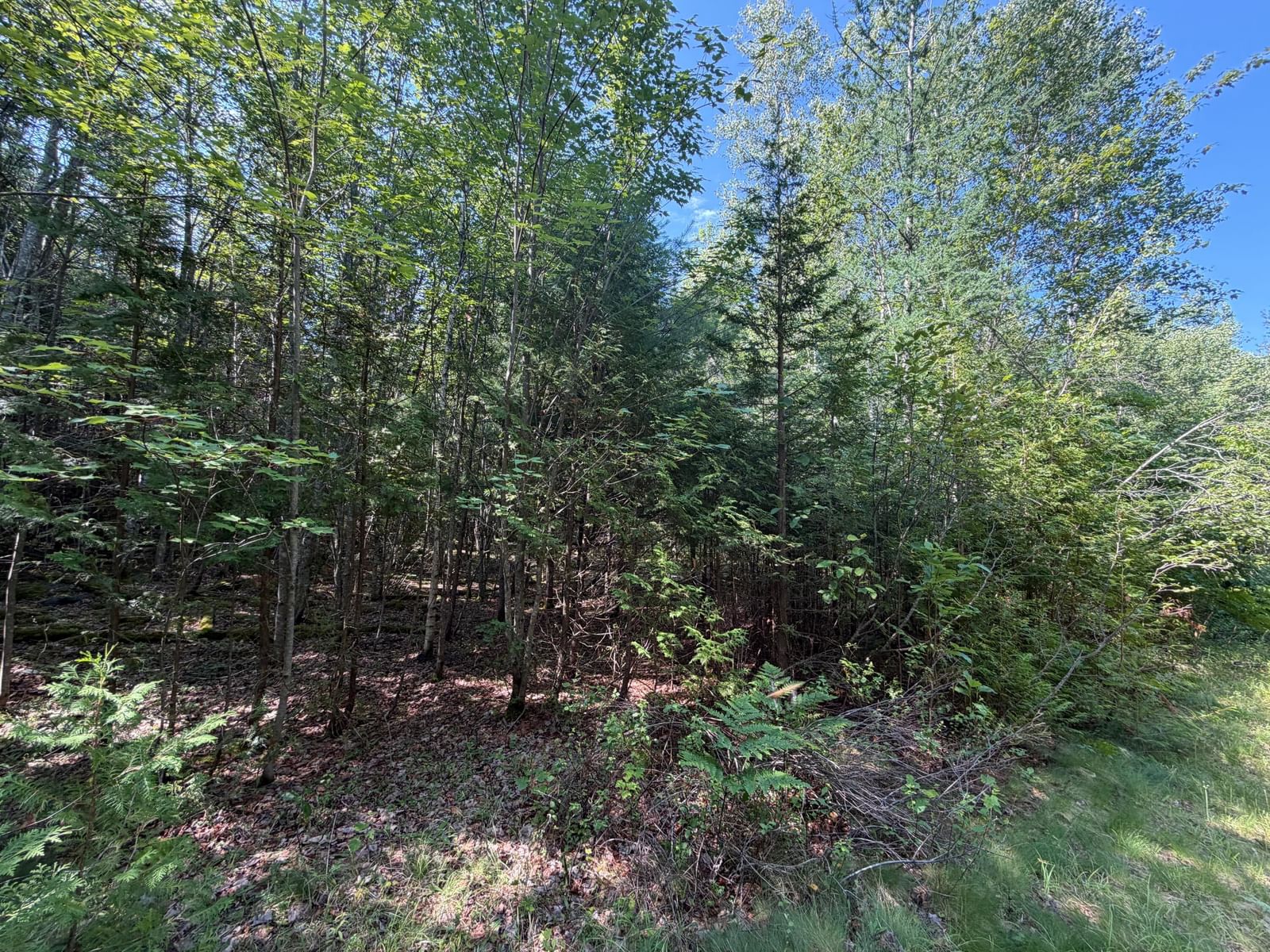 M5L18&18-1 Clark Road, Burlington, ME 04417 photo 4