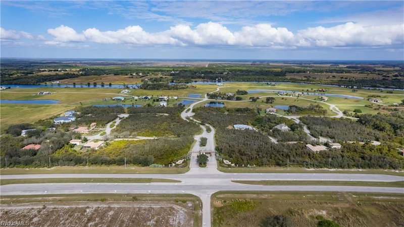 22797 Yellow Button LN photo 1