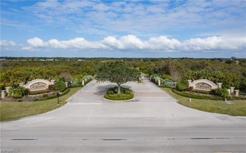 22797 Yellow Button LN photo 2