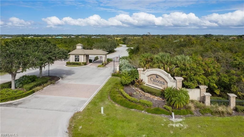 22797 Yellow Button LN photo 3