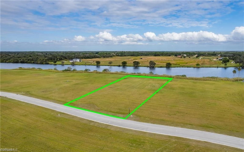 22797 Yellow Button LN photo 5